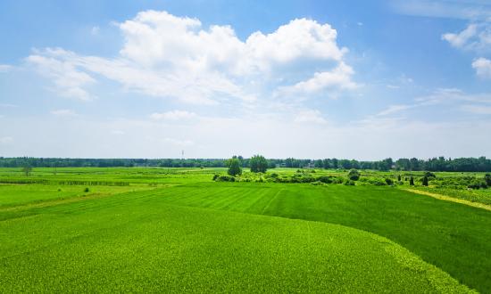 水利工程行業(yè)發(fā)展?fàn)顩r：中國2024年首個重大水利工程開工