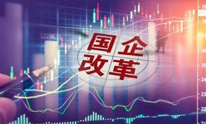 珠海國資委最新發(fā)布 涉及華發(fā)、格力等 國企改革市場發(fā)展前景研究與展望分析報告
