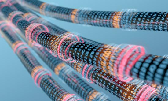 2024特種電纜行業(yè)未來發(fā)展方向預測