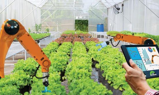 農(nóng)業(yè)信息化行業(yè)市場(chǎng)分析2024