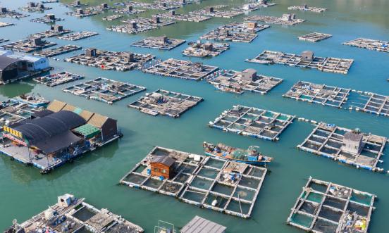 2024海洋牧場行業(yè)深度分析與投資調(diào)研分析