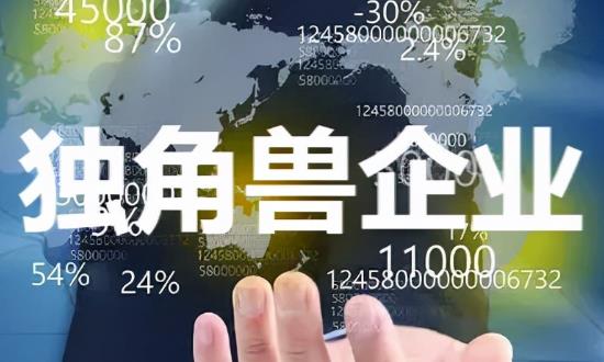 中國獨角獸企業(yè)發(fā)展現(xiàn)狀與投資機會