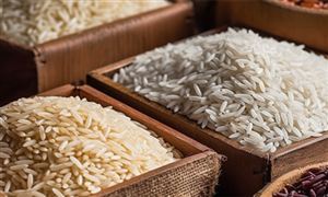 農(nóng)業(yè)農(nóng)村部：我國人均糧食占有量達到493公斤 糧食加工市場未來發(fā)展趨勢預(yù)測分析報告