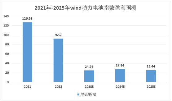 新能源電池行業(yè)龍頭企業(yè)業(yè)務對比分析及未來增長預測