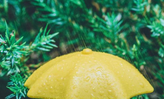 雨傘行業(yè)市場現(xiàn)狀分析及發(fā)展趨勢：健康、環(huán)保、使用便捷是商家加大研發(fā)投入的方向