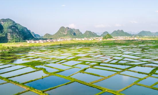 2024生態(tài)農(nóng)業(yè)產(chǎn)業(yè)現(xiàn)狀及未來發(fā)展趨勢、規(guī)劃分析