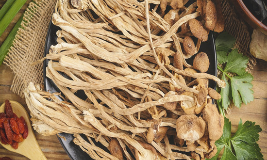中國茶樹菇行業(yè)市場發(fā)展現(xiàn)狀及前景機遇深度調(diào)研