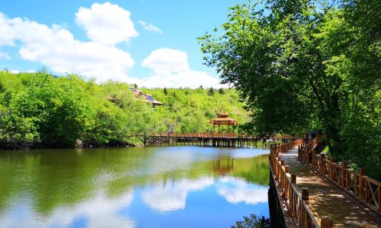 森林公園行業(yè)發(fā)展機遇與未來趨勢：實現(xiàn)森林旅游產(chǎn)業(yè)向高質(zhì)量發(fā)展