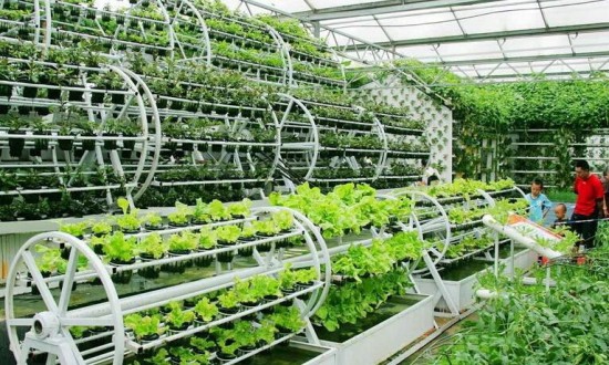 2024年中國植物工廠行業(yè)的產(chǎn)業(yè)鏈上下游結(jié)構(gòu)及重點企業(yè)情況
