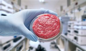 2024年中國人造肉行業(yè)的產(chǎn)業(yè)鏈上下游結(jié)構(gòu)及發(fā)展趨勢(shì)