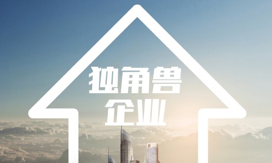 2024年中國獨角獸企業(yè)的發(fā)展現(xiàn)狀及發(fā)展前景分析