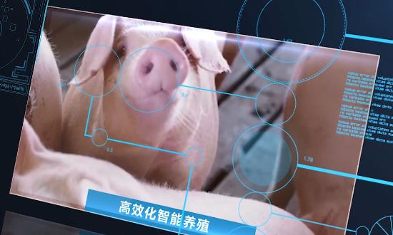 2024智慧養(yǎng)殖產(chǎn)業(yè)現(xiàn)狀、發(fā)展趨勢(shì)、市場(chǎng)機(jī)遇