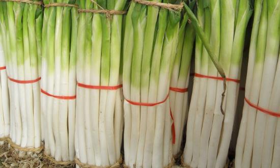 大蔥種植利潤(rùn)如何？大蔥行業(yè)市場(chǎng)投資前景分析