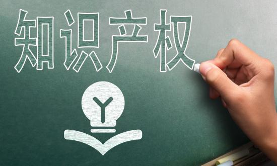 2024中國知識(shí)產(chǎn)權(quán)服務(wù)行業(yè)市場分析及發(fā)展前景預(yù)測(cè)