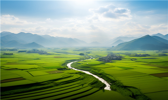 農(nóng)業(yè)服務行業(yè)發(fā)展現(xiàn)狀分析及未來趨勢預測研究 農(nóng)業(yè)生產(chǎn)對農(nóng)業(yè)服務的需求持續(xù)增長