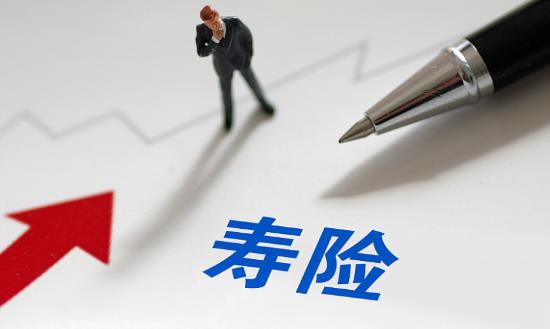 人壽保險(xiǎn)龍頭企業(yè)市場(chǎng)現(xiàn)狀與行業(yè)發(fā)展前景研究
