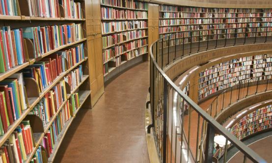 2024年中國(guó)智慧圖書館行業(yè)深度調(diào)研 廣東智慧圖書館體系建設(shè)項(xiàng)目全國(guó)第一