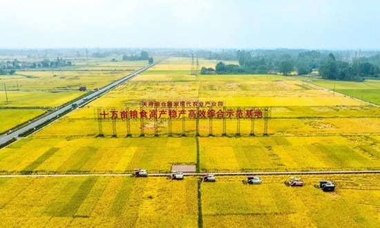 2024年中國高標準農(nóng)田行業(yè)的市場發(fā)展現(xiàn)狀及發(fā)展前景分析