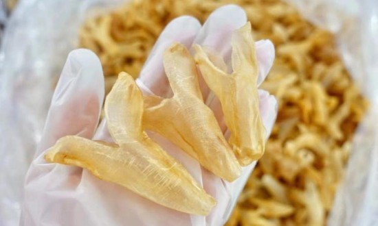 2024年花膠行業(yè)的產(chǎn)業(yè)鏈上下游結(jié)構(gòu)及市場(chǎng)發(fā)展現(xiàn)狀
