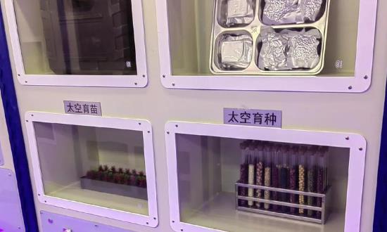 科技創(chuàng)新行業(yè)發(fā)展前景研究與市場(chǎng)需求2024