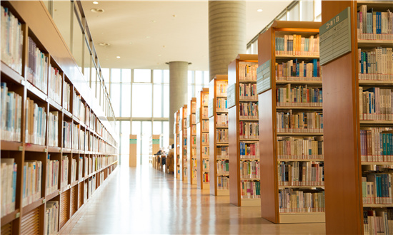 2024年智慧圖書館行業(yè)市場(chǎng)深度調(diào)研 智慧圖書館主要細(xì)分市場(chǎng)分析