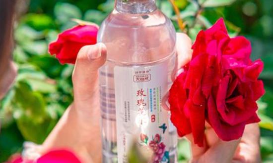 植物水飲料行業(yè)市場投資潛力：預計到2025年將突破2000億元