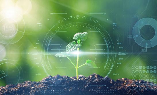 綜合農(nóng)業(yè)行業(yè)深度分析2024