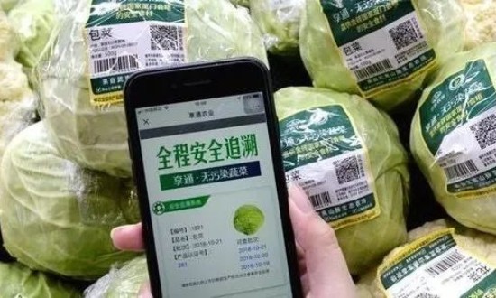 2024年中國(guó)食品溯源行業(yè)的產(chǎn)業(yè)鏈上下游結(jié)構(gòu)及投資潛力分析