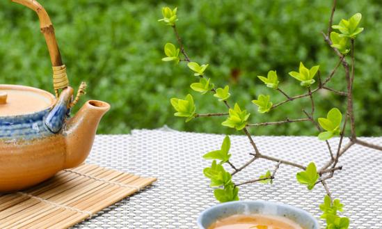 2024年中國茶多酚行業(yè)現(xiàn)狀、市場規(guī)模及未來發(fā)展趨勢分析