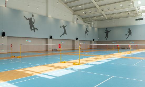 2024體育服務產業(yè)未來市場規(guī)模及發(fā)展趨勢預測