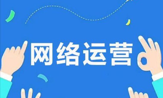2024年網(wǎng)絡運營行業(yè)市場調(diào)查與發(fā)展前景分析