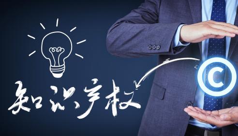 中國(guó)IP行業(yè)市場(chǎng)調(diào)研及投資策略預(yù)測(cè)