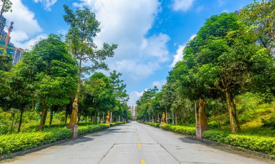 社區(qū)衛(wèi)生信息化行業(yè)報告 社區(qū)衛(wèi)生信息化行業(yè)產業(yè)鏈全景分析