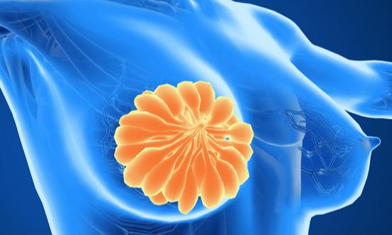 2024年中國乳腺DR行業(yè)品牌占有率及發(fā)展前景趨勢分析預測