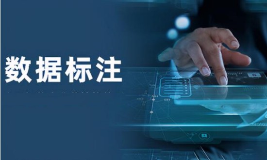 2024年中國(guó)數(shù)據(jù)標(biāo)注行業(yè)的產(chǎn)業(yè)鏈上下游結(jié)構(gòu)及投資風(fēng)險(xiǎn)分析