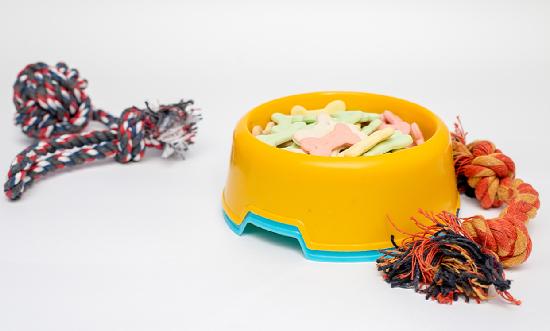 寵物飼料行業(yè)現(xiàn)狀及前景分析 2023國內(nèi)寵物飼料市場規(guī)模達1461億元