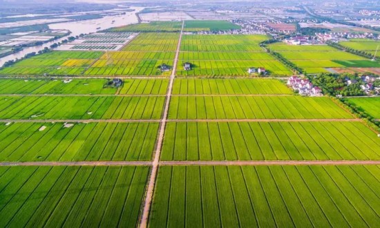 2024年中國高標準農(nóng)田行業(yè)的市場發(fā)展現(xiàn)狀及投資風(fēng)險分析