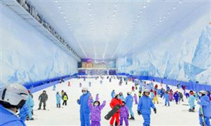 2024室內滑雪場行業(yè)市場現(xiàn)狀及前景趨勢研究分析