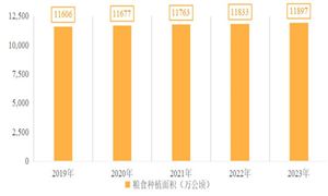 2024年高效農(nóng)業(yè)市場(chǎng)發(fā)展現(xiàn)狀及未來趨勢(shì)展望分析
