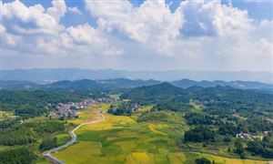 2025年中國農(nóng)業(yè)循環(huán)經(jīng)濟(jì)行業(yè)市場發(fā)展分析及投資前景預(yù)測