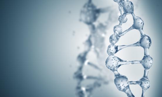 合成生物學行業(yè)分析：合成生物學浪潮下，阿洛酮糖引領健康糖新變革