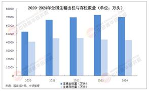 2025年中國生豬市場供需情況深度調(diào)研分析