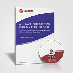 2017-2022年中國浴海綿行業(yè)市場(chǎng)前瞻與未來投資戰(zhàn)略分析報(bào)告