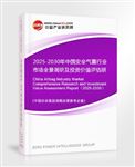 2025-2030年中國安全氣囊行業(yè)市場全景調研及投資價值評估研究報告